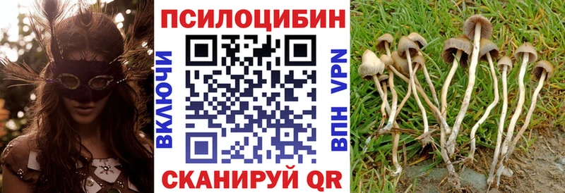 Галлюциногенные грибы MAGIC MUSHROOMS  Севастополь 